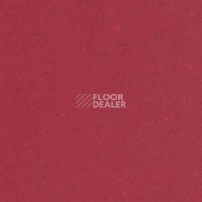 Линолеум Vertigo Eden E30414 CHILI PEPPER фото 1 | FLOORDEALER